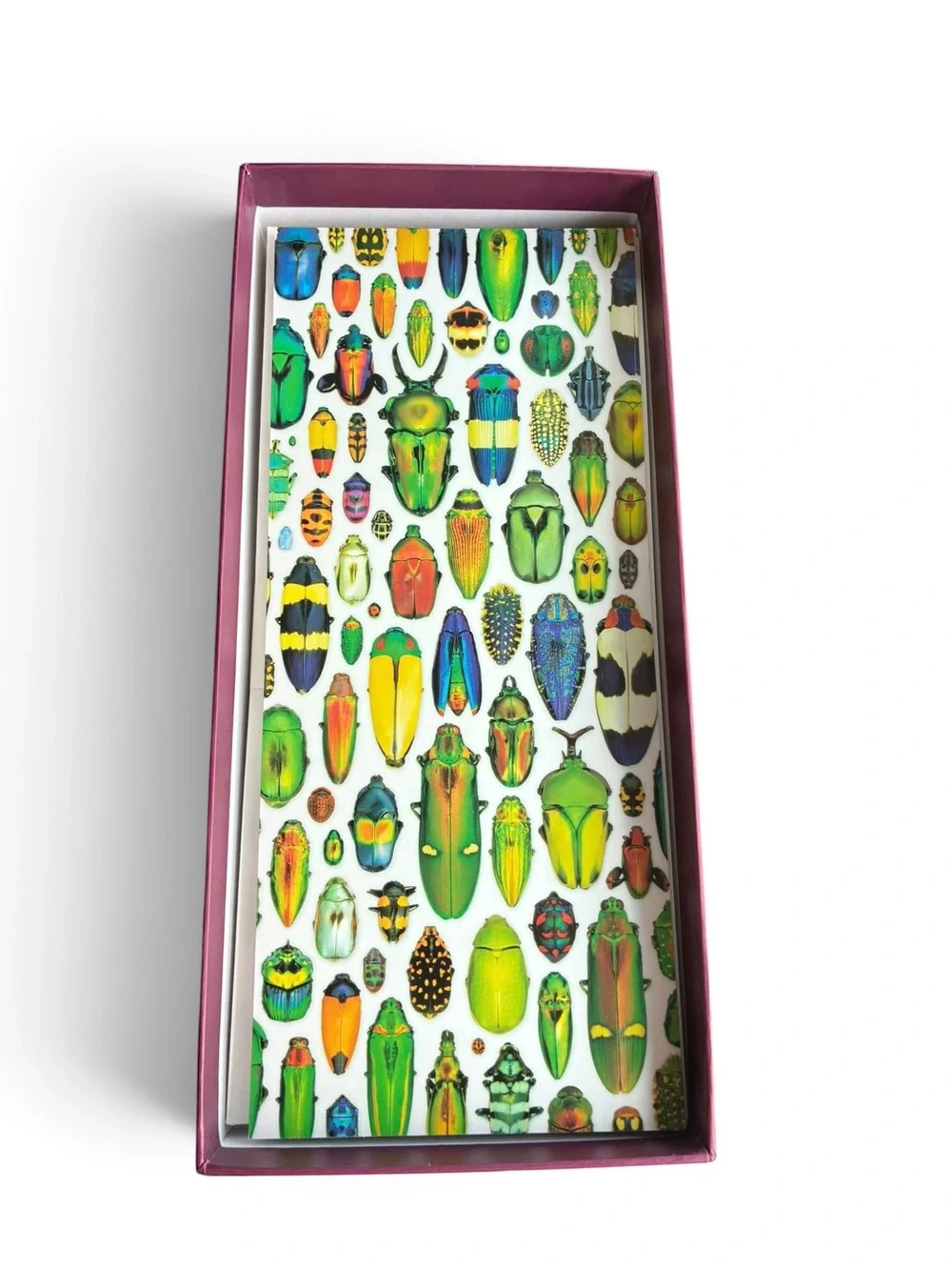 Christopher Marley Exquisite Creatures Panoramic Boxed Notecards Pomegranate